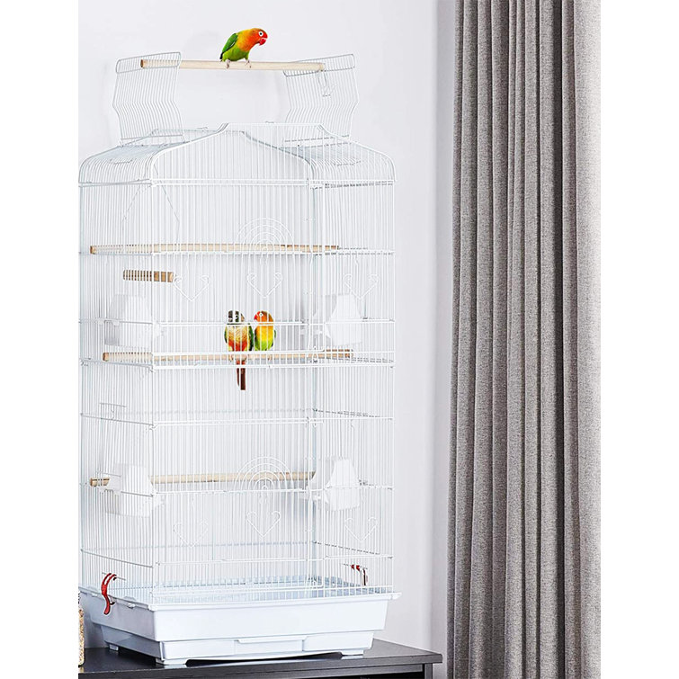 Tucker Murphy Pet™ Costella 41'' Iron Play Top Table Top Bird Cage with Perch Wayfair